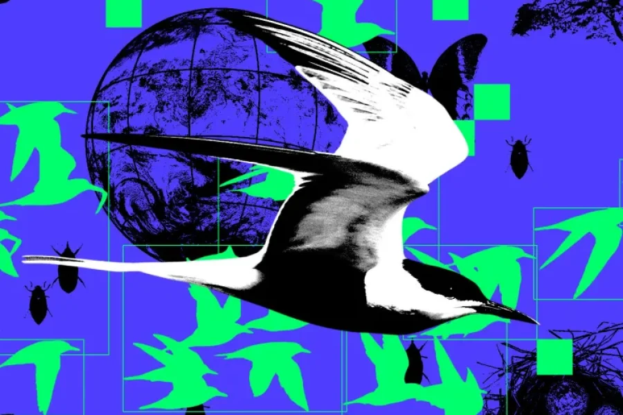 257707_Ai_wildlife_conservation_CVirginia_A